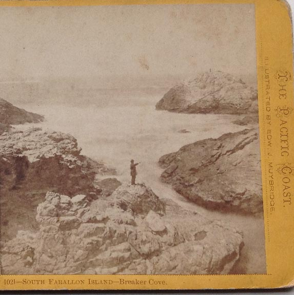 antique US made EDW. J. MUYBRIDGE stereoview card of South Farallon Island - Breaker Cove